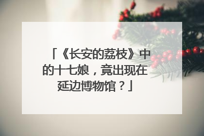 《长安的荔枝》中的十七娘，竟出现在延边博物馆？
