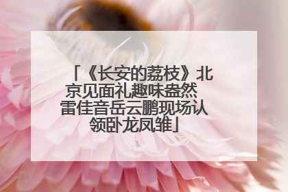 《长安的荔枝》北京见面礼趣味盎然 雷佳音岳云鹏现场认领卧龙凤雏
