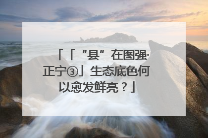 「“县”在图强·正宁③」生态底色何以愈发鲜亮？