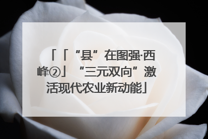 「“县”在图强·西峰②」“三元双向”激活现代农业新动能