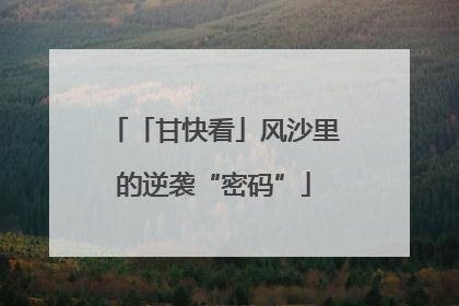 「甘快看」风沙里的逆袭“密码”