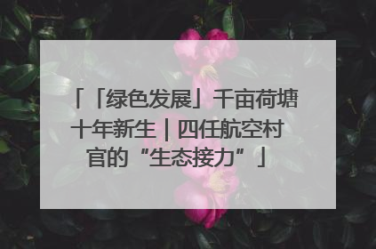 「绿色发展」千亩荷塘 十年新生｜四任航空村官的“生态接力”