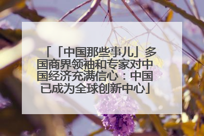 「中国那些事儿」多国商界领袖和专家对中国经济充满信心：中国已成为全球创新中心