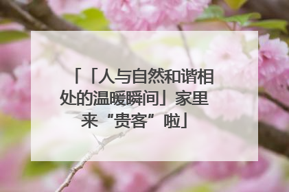 「人与自然和谐相处的温暖瞬间」家里来“贵客”啦