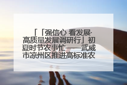 「强信心 看发展·高质量发展调研行」初夏时节农事忙——武威市凉州区推进高标准农田建设见闻
