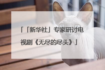 「新华社」专家研讨电视剧《无尽的尽头》