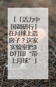 「活力中国调研行」在月球上造房子？这家实验室把3D打印“带上月球”