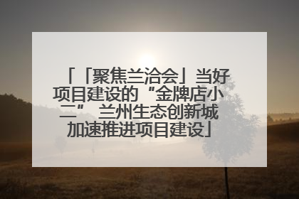 「聚焦兰洽会」当好项目建设的“金牌店小二” 兰州生态创新城加速推进项目建设