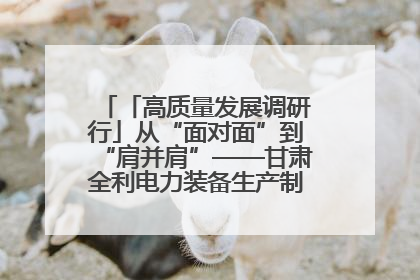 「高质量发展调研行」从“面对面”到“肩并肩”——甘肃全利电力装备生产制造项目一线见闻