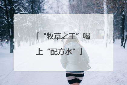 “牧草之王”喝上“配方水”
