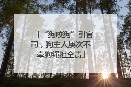 “狗咬狗”引官司，狗主人屡次不牵狗绳担全责