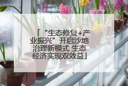 “生态修复+产业振兴”开启沙地治理新模式 生态经济实现双效益