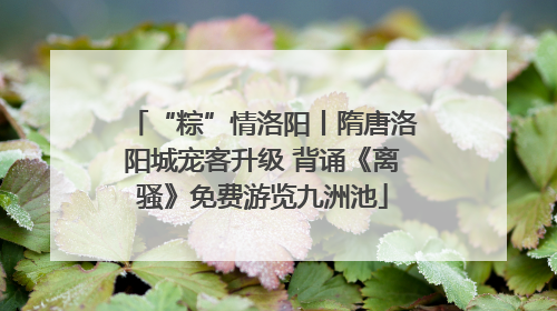 “粽”情洛阳丨隋唐洛阳城宠客升级 背诵《离骚》免费游览九洲池