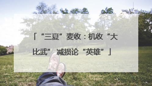 “三夏”麦收：机收“大比武” 减损论“英雄”