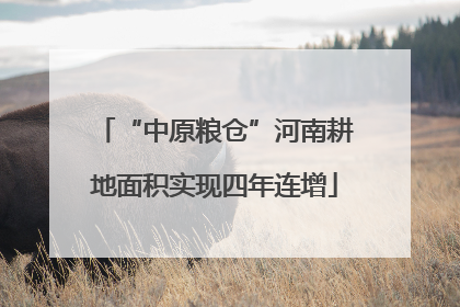 “中原粮仓”河南耕地面积实现四年连增