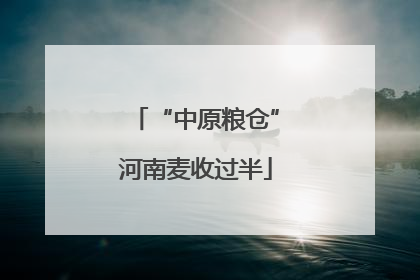 “中原粮仓”河南麦收过半