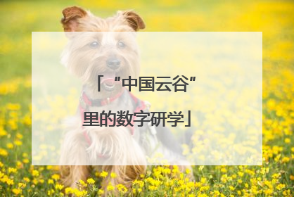 “中国云谷”里的数字研学