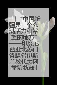 “中国新疆是一个充满活力和希望的地方”——印度尼西亚北苏门答腊省伊斯兰教代表团参访新疆