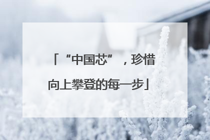 “中国芯”，珍惜向上攀登的每一步