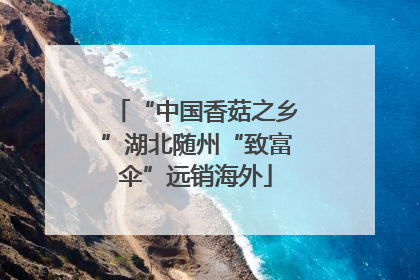 “中国香菇之乡”湖北随州“致富伞”远销海外