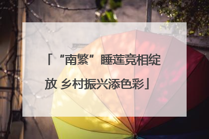 “南繁”睡莲竞相绽放 乡村振兴添色彩
