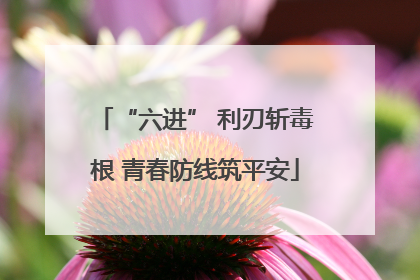 “六进” 利刃斩毒根 青春防线筑平安