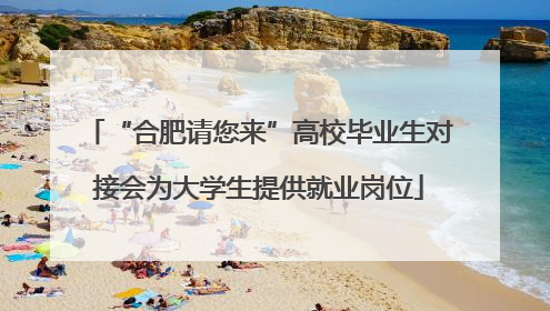 “合肥请您来”高校毕业生对接会为大学生提供就业岗位