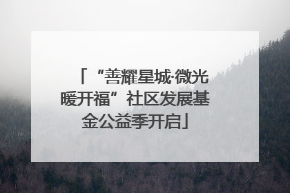 “善耀星城·微光暖开福”社区发展基金公益季开启