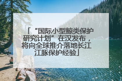 “国际小型鲸类保护研究计划”在汉发布，将向全球推介落地长江江豚保护经验