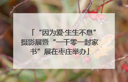 “因为爱·生生不息”摄影展暨“一千零一封家书”展在枣庄举办