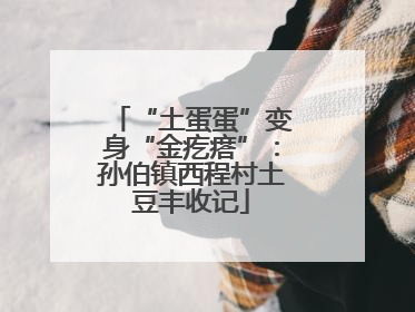 “土蛋蛋”变身“金疙瘩”：孙伯镇西程村土豆丰收记