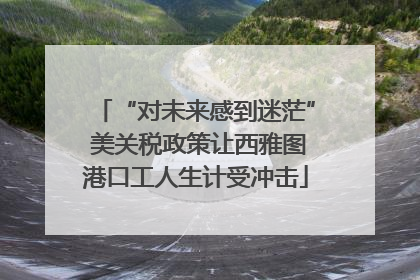 “对未来感到迷茫” 美关税政策让西雅图港口工人生计受冲击