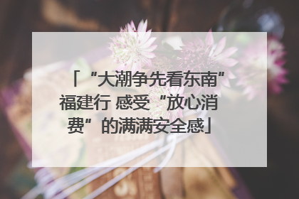 “大潮争先看东南”福建行 感受“放心消费”的满满安全感