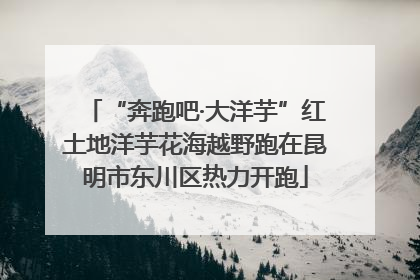 “奔跑吧·大洋芋”红土地洋芋花海越野跑在昆明市东川区热力开跑