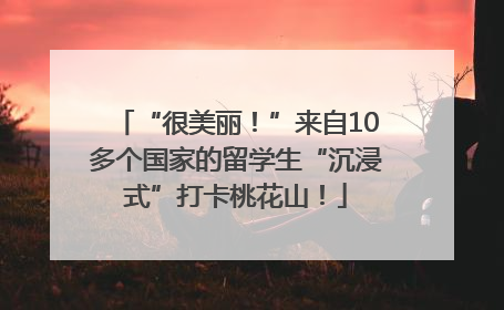 “很美丽！”来自10多个国家的留学生“沉浸式”打卡桃花山！
