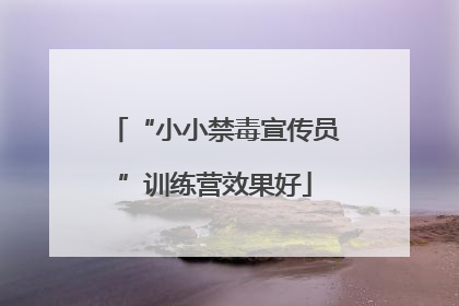 “小小禁毒宣传员”训练营效果好