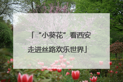 “小葵花”看西安走进丝路欢乐世界