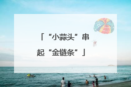“小蒜头”串起“金链条”