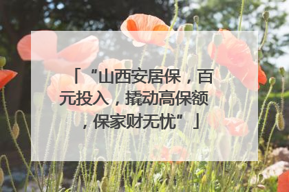 “山西安居保，百元投入，撬动高保额，保家财无忧”