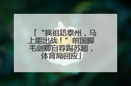 “我祖籍泰州，马上能出战！”前国脚毛剑卿自荐踢苏超，体育局回应