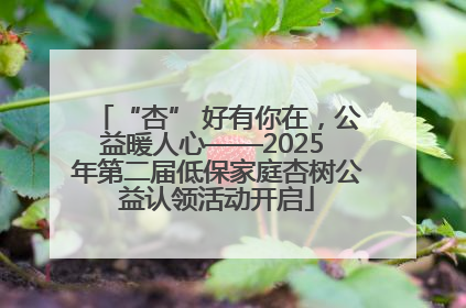 “杏” 好有你在，公益暖人心——2025 年第二届低保家庭杏树公益认领活动开启