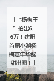 “杨梅王”拍出6.6万！建阳首届小湖杨梅嘉年华酸甜出圈！