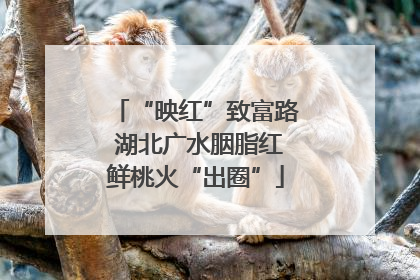 “映红”致富路 湖北广水胭脂红鲜桃火“出圈”