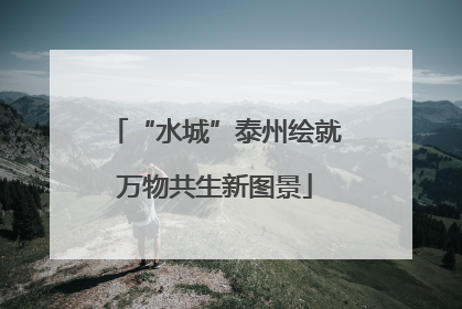 “水城”泰州绘就万物共生新图景