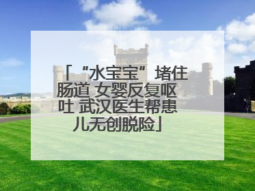 “水宝宝”堵住肠道 女婴反复呕吐 武汉医生帮患儿无创脱险