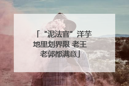 “泥法官”洋芋地里划界限 老王老郭都满意