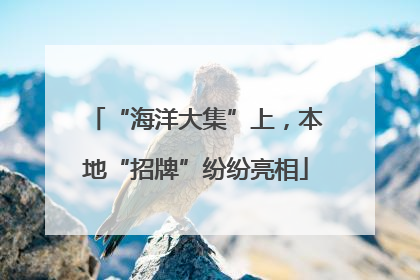 “海洋大集”上，本地“招牌”纷纷亮相