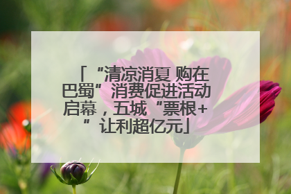 “清凉消夏 购在巴蜀”消费促进活动启幕，五城“票根+”让利超亿元