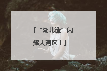 “湖北造”闪耀大湾区！