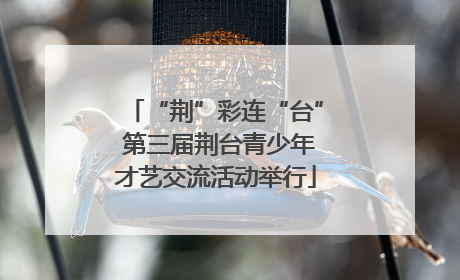 “荆”彩连“台” 第三届荆台青少年才艺交流活动举行